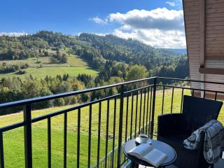 Apartamenty Spacerowa 33 - Wisła - 8