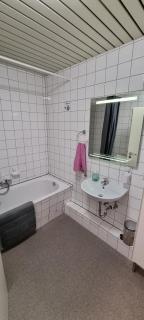 Ferienwohnung Westerhüsen - Magdeburgo - 7