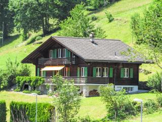 Chalet Chalet Pitschun by Interhome - Grindelwald - 0