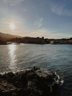 Les Roches Brunes - Collioure - 4