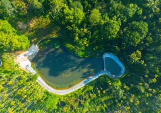 Ushasree Wayanad Heritage Premium Pool Resort by VOYE HOMES - Ambalavayal - 5