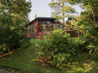 Tree House, Partial Lake Views Pet Friendly - 9