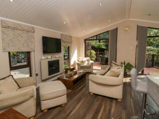 Tree House, Partial Lake Views Pet Friendly - 4