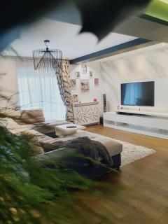 Opper luxury apartament - Turnişor - 5