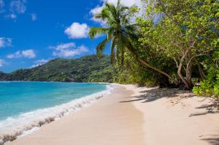 Chalets d'Anse Forbans SelfCatering - Takamaka - 8