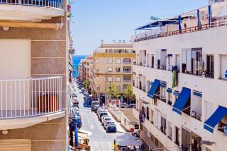Alegria ID 88 - Torrevieja - 5