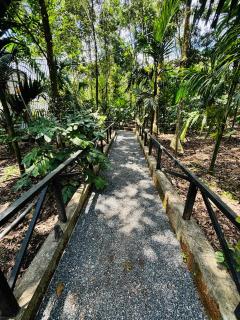 Wild Castle Wayanad - 5