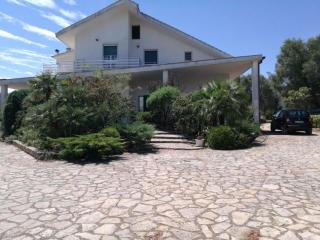 Villa Gianfreda - Ceglie Messapica - 4