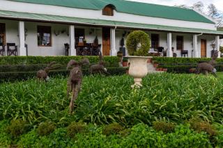 Sionsberg Farmstay - Riviersdaal - 8