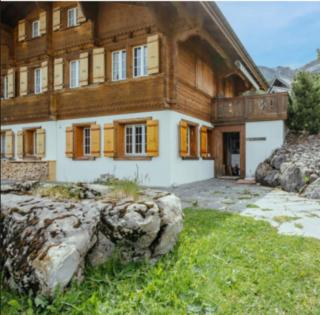 Mountain & Lakeview Fireplace & Garden Bbq - Axalp - 2