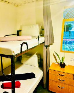 Mad monkey hostel and lounge - Ella - 4