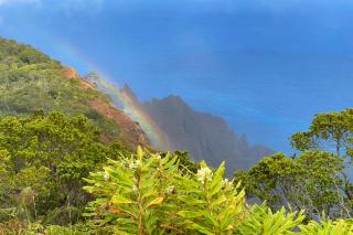 Islander on the Beach 164 - Kapaa - 1