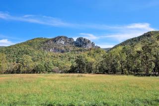 Panoramic Paradise - Best View of Seneca Rocks cottage - 1