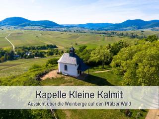 WINETIME - Apartment Roschbach - für bis zu 5 Personen - idyllisch an den Weinbergen der südlichen Weinstraße zwischen Landau und Neustadt gelegen - Roschbach - 6