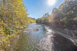 Bear Paw Cottage- 12 mins to Seneca Rocks cottage - Seneca Rocks - 4