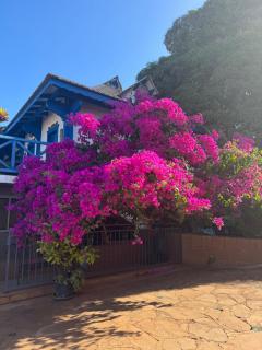Le Passamainty Lodge - Mamoudzou - 1