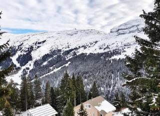 Chalet De L'arbaron - Studio entièrement rénové · Balcon · Parking couvert MAE-7347 - Flaine - 2