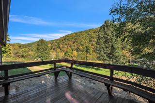 Bear Paw Cottage- 12 mins to Seneca Rocks cottage - 6