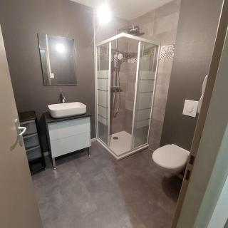 appartement rénové centre ville - 2