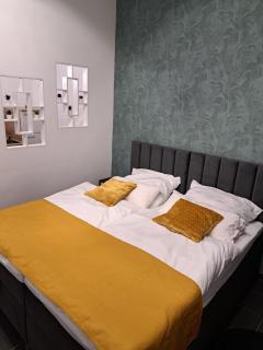 Schwarzwald City Loft - Villingen-Schwenningen - 6