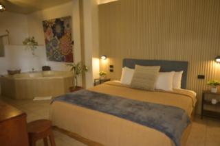 Hotel Las Colinas - Fortuna - 9