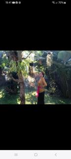 D'SARI UNDISAN Houses - 4