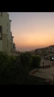 Dolphin resort - New cairo - 0