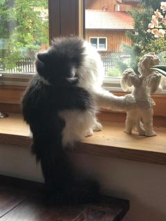 Ferienwohnung Landhaus zum Sonnenschein - 3