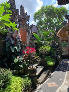 Dewi Antara Homestay - Ubud - 9
