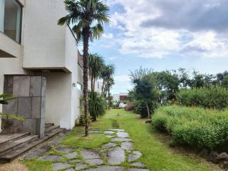 Seogwipo Smart Pool Villa - 4