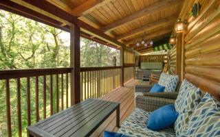 Bear Necessities - Sevierville - 3