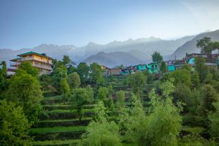 Hotel Bob's N Barley Luxury Room Best Hotel in McLeod Ganj - 4