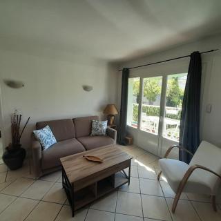 Petit Coin de Paradis 2 MN de la mer 2chs balcon clim parking - 9