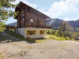 8p Chalet in the mountains near Fiesch ski area - Fiesch - 8
