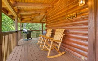 Bear Necessities - Sevierville - 5