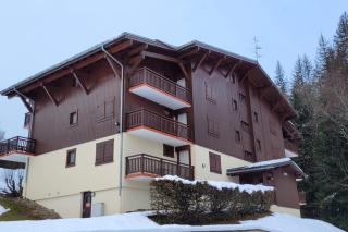 Apartment near the slopes in Combloux - Combloux - 9