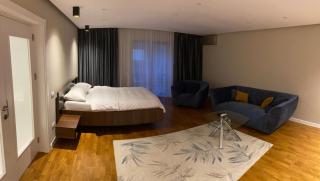 Valivillas Studio & Apartaments - Bucharest - 4