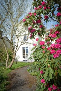 Apple Tree Bed and Breakfast - Tavistock - 6