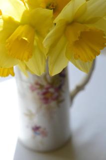 Apple Tree Bed and Breakfast - Tavistock - 5