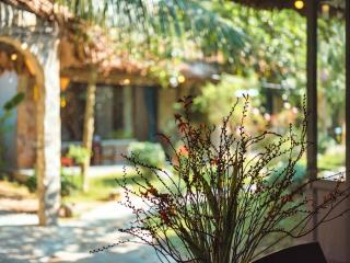 Cozy Beer Garden Homestay - Ninh Bình - 1
