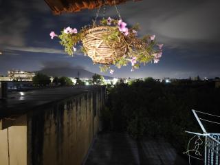 Vestigia Pompeiana - Pompei - 9