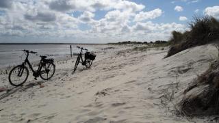 Kiek mol wedder in - Borkum - 0