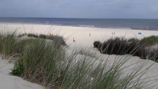 Kiek mol wedder in - Borkum - 8