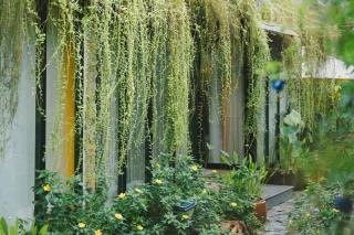 Bến Đò Xưa Homestay & Coffee - 3