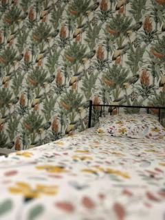 Maison cosy proche Carcassonne - Conques-sur-Orbiel - 7