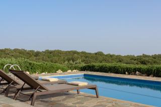 Ellotia & Asterion By Forest Villas - Réthymnon - 7