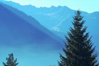 Alpenrose - Ramsau im Zillertal - 5