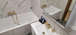 Apartamenty Stadion & Park blisko Centrum Chorzowa - Chorzów - 5