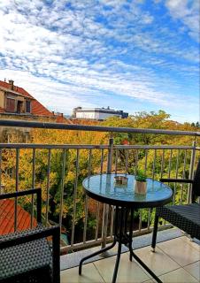 Terrace Lux Apartment - Prijedor - 9