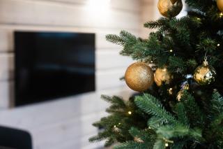 Santa's Luxury Boutique Villa - Santa Claus Village - Rovaniemi - 3